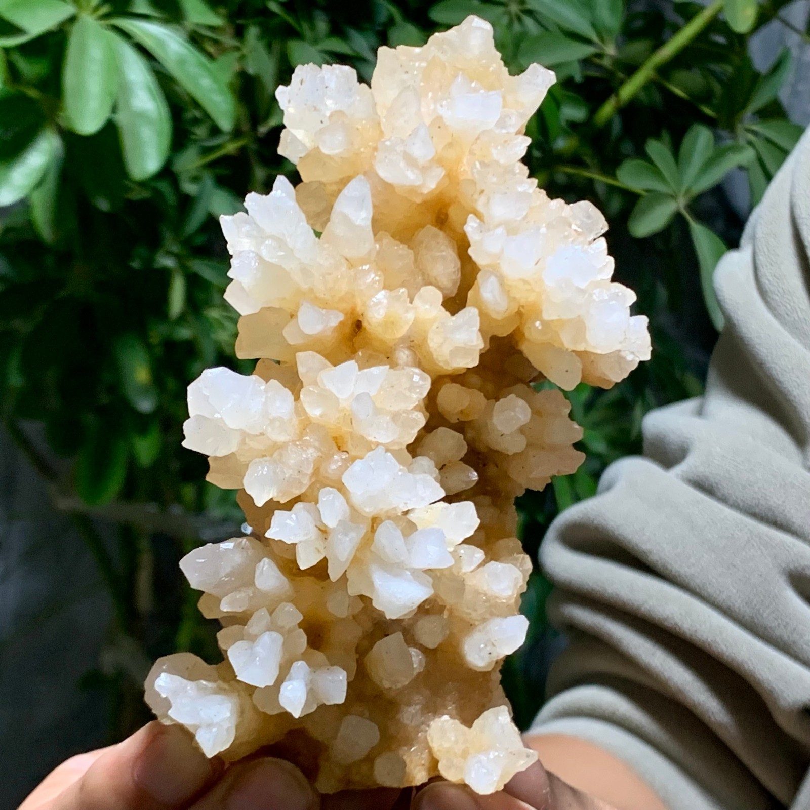 392G Beautiful Natural stalactite Crystal Cluster Mineral Specimen/China
