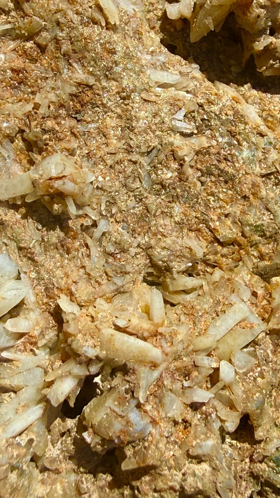 High-Grade Gold in Quartz Ore by the Gram - Visible Native Gold California Au