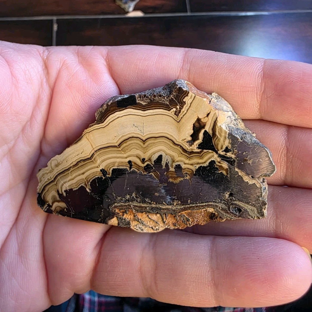 Schalenblende 2