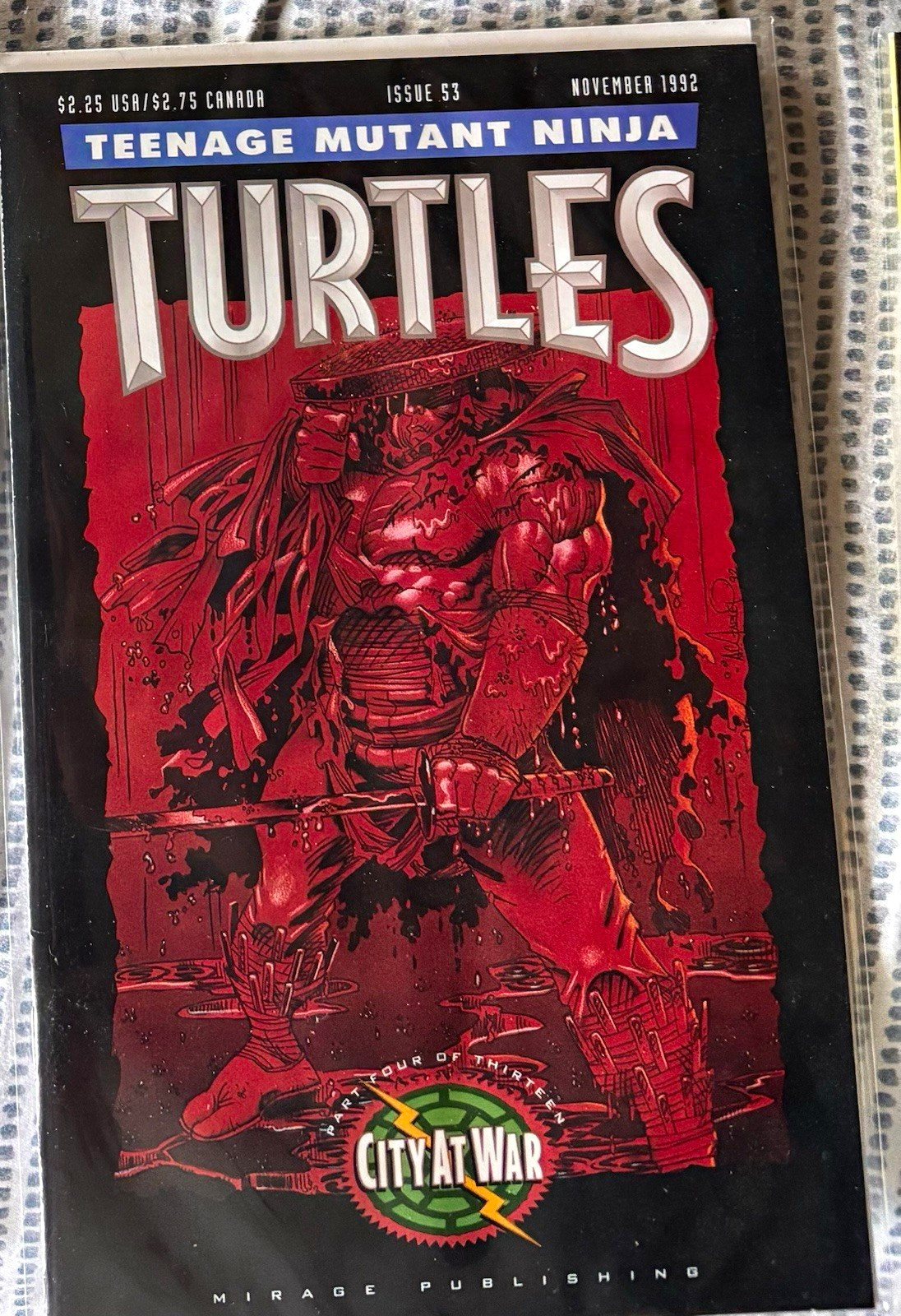 TMNT Teenage Mutant Ninja Turtles collection Raw Books