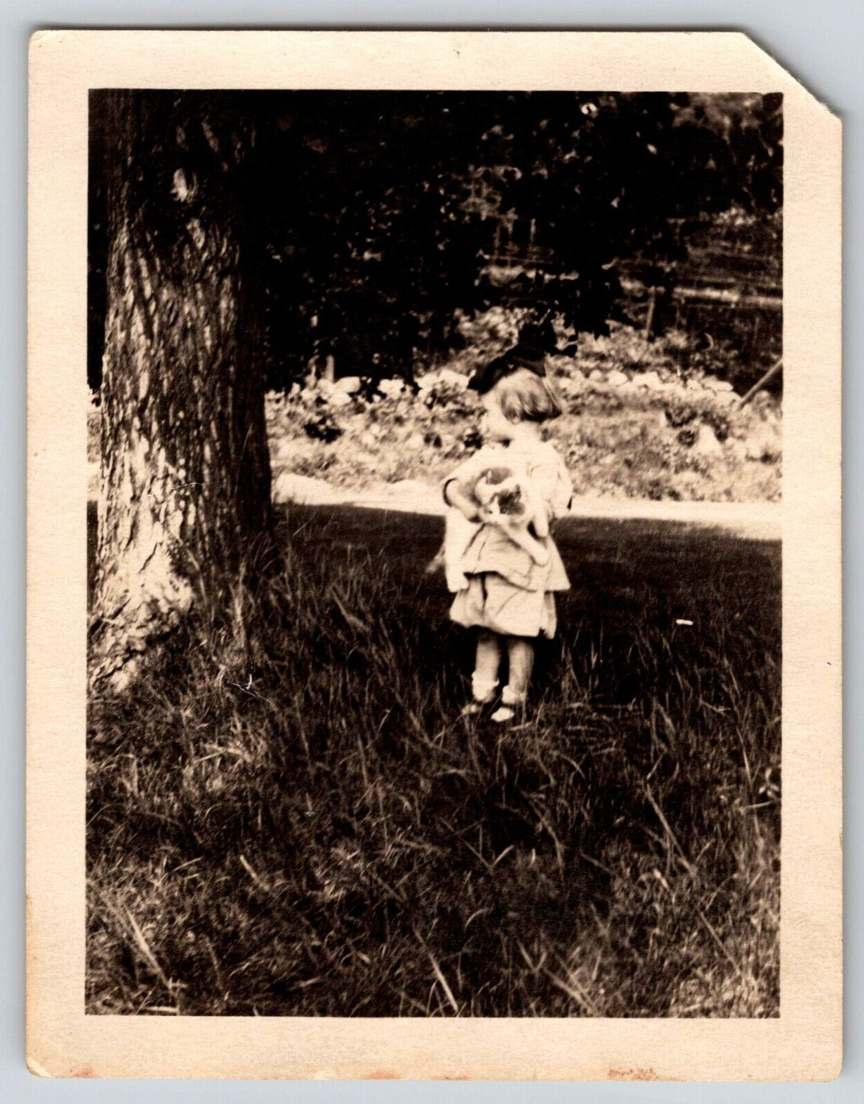 Puppy Dog Animal Pet Vintage Photograph Photo Picture