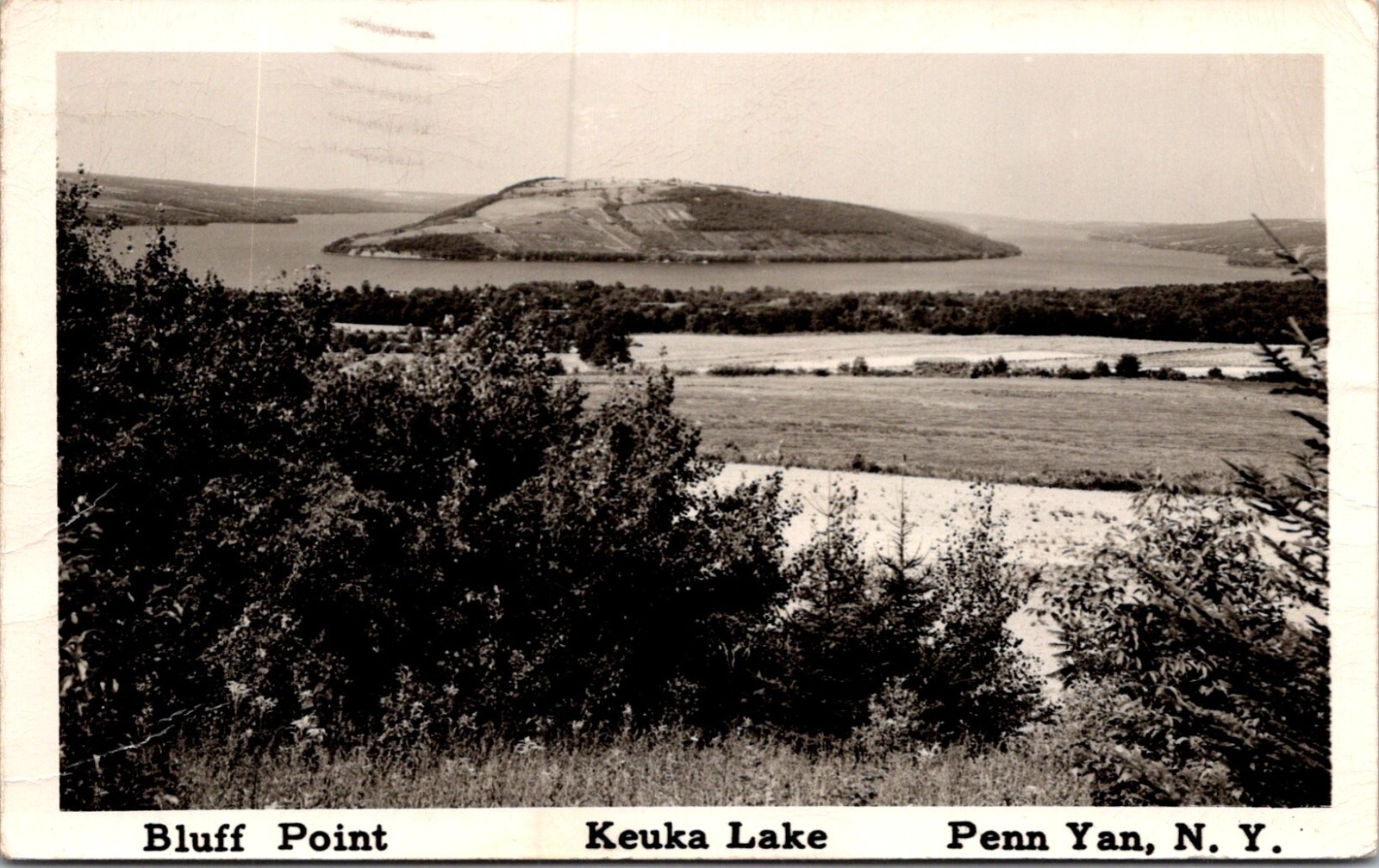 Real Photo Bluff Point Lake Keuka State Park Penn Yan New York A01