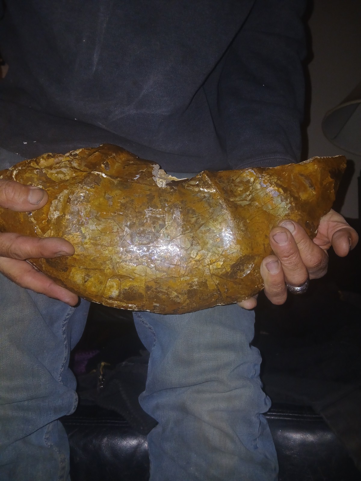 Massive Ammonite/Iridescent/Opalized/Super Rare Fossil