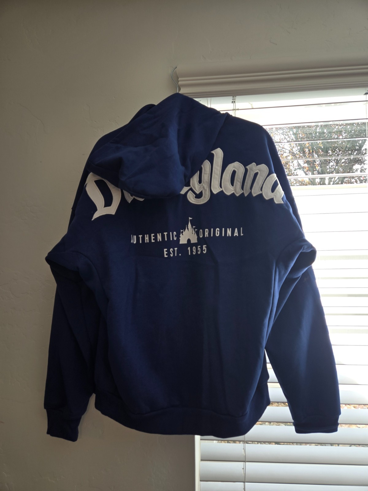 Disneyland Resort Embroidered Logo Blue Zip up Hoodie - Medium