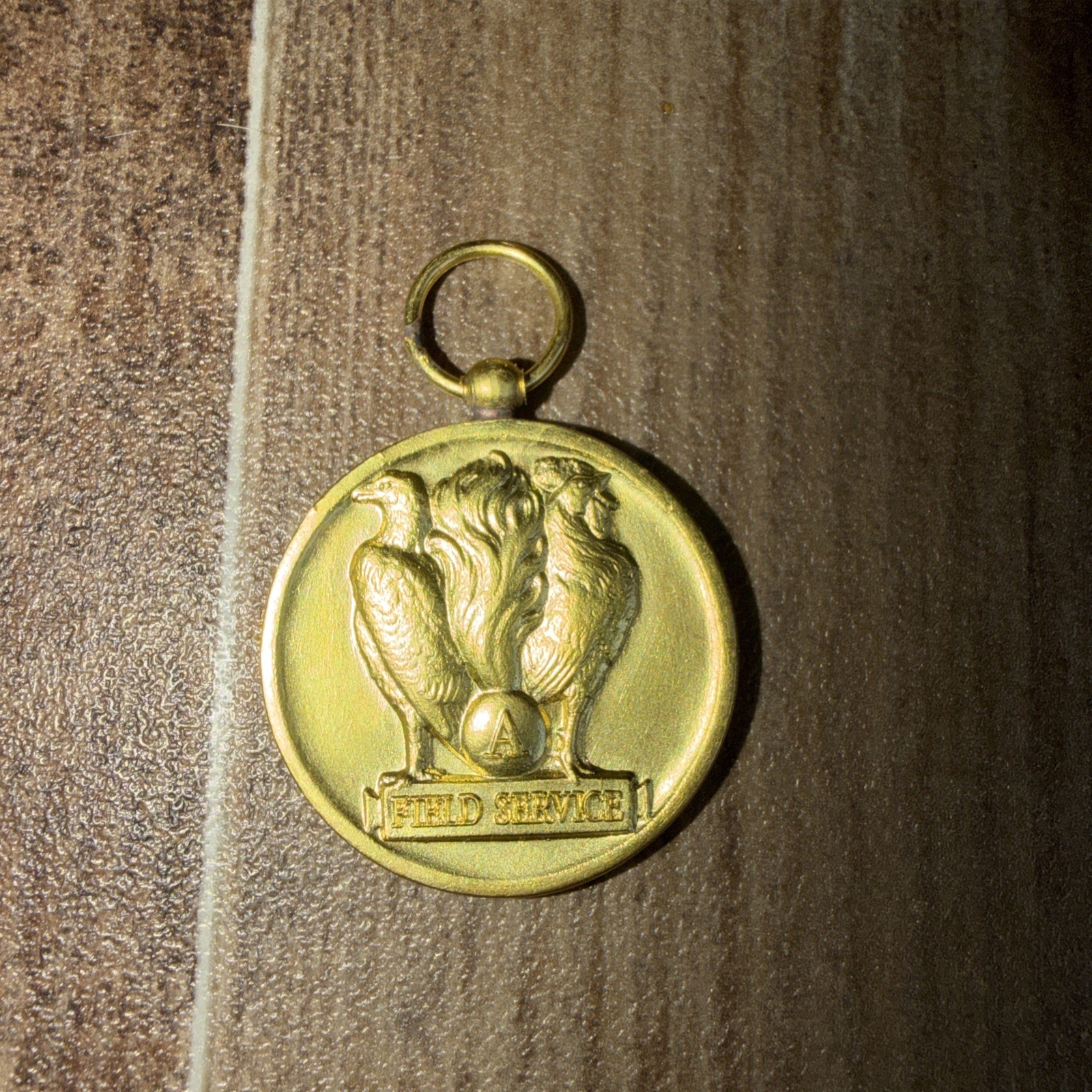 WWI American Field Service (AFS) Med