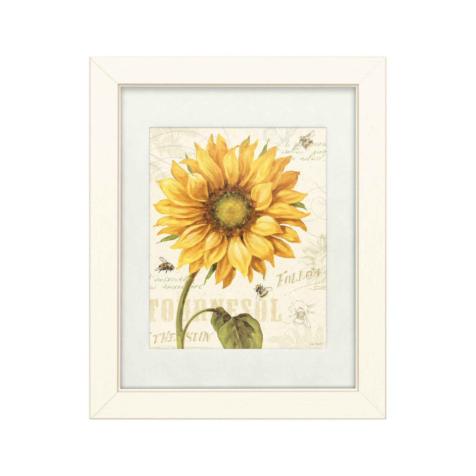 Trademark Fine Art Under The Sun I by Lisa Audit 11x14 Matte White Frame