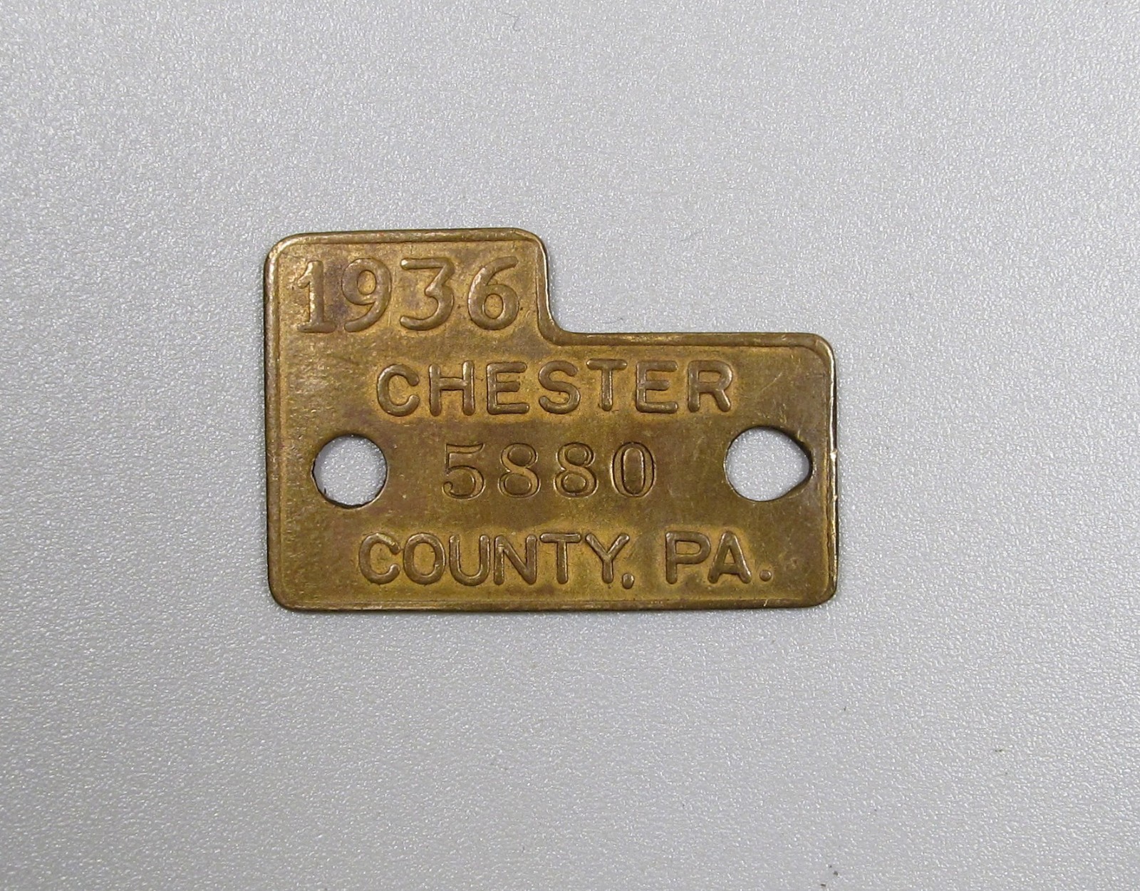 Scarce Early Vintage 1936 Chester Co, PA Dog Tax License #5880 Odd Shape