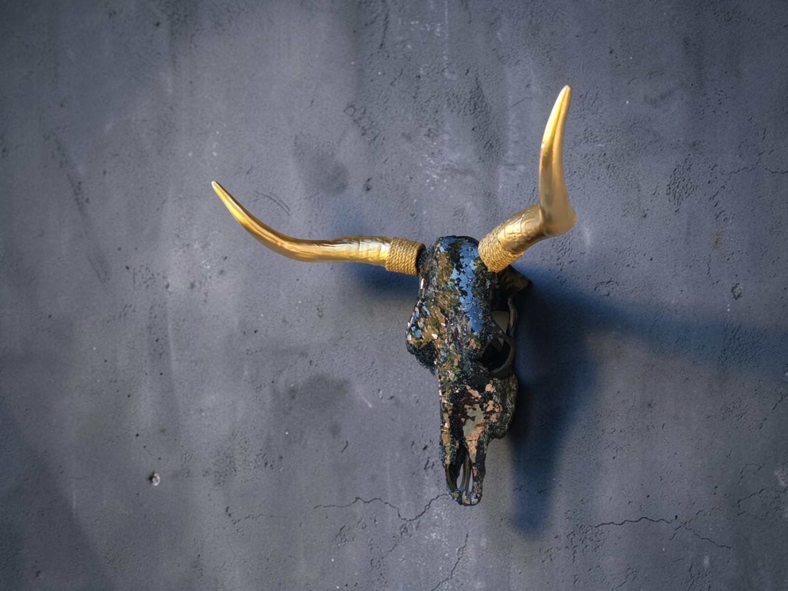 Real bull skull. Wall decor. Cow skull.