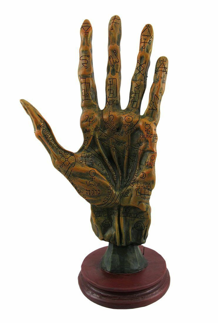 Alchemy Mummified Palmistry Hand Gothic Alchemy Mummified Palmistry Hand Gothic