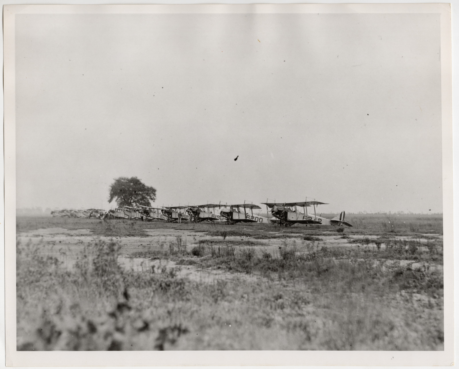 Army Jennies Go Navy 1922 Curtiss JN-4H Jenny Biplane Vintage Photo A-6242