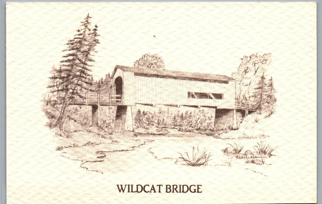 Wildcat Bridge Covered Bridge Over Wildcat Creek near Eugene Ohio Postcard