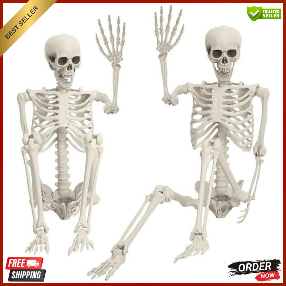 💀5.4Ft Life Size Posable Halloween Skeleton Decoration,  Halloween  Decoration.