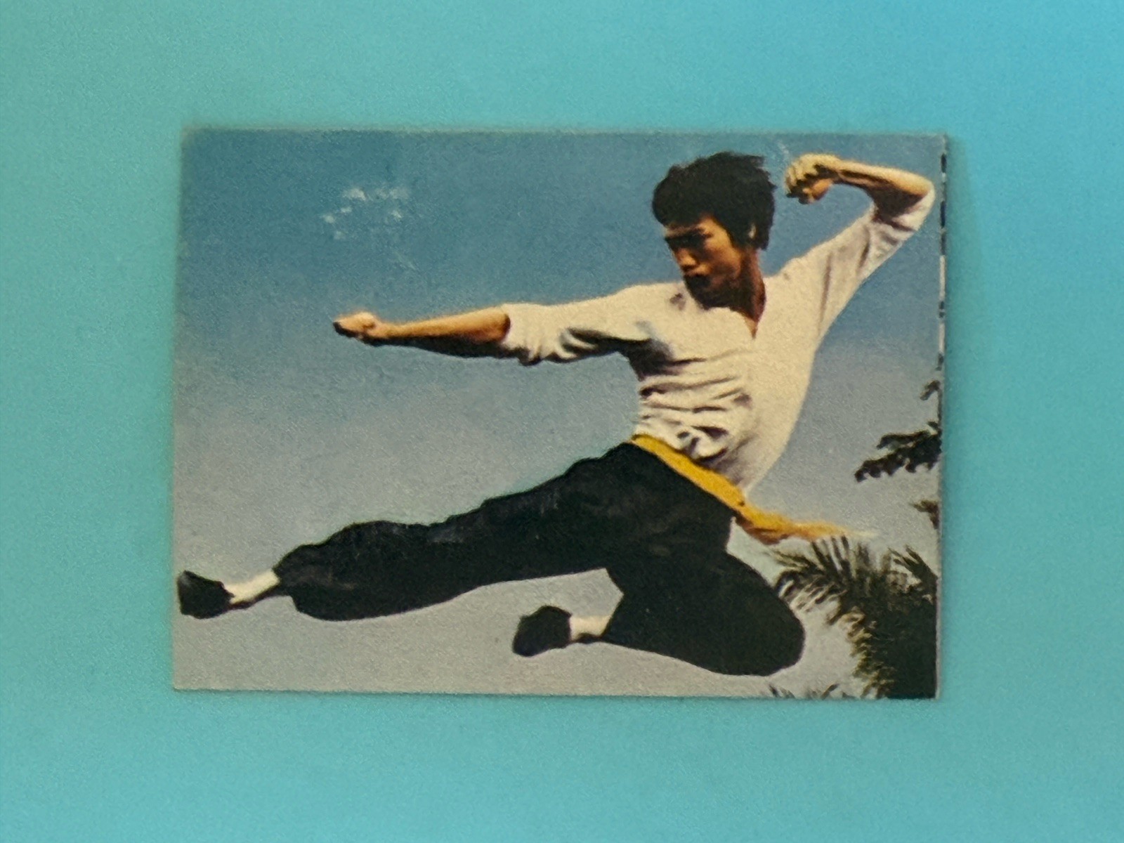 Bruce Lee 1974 Yamakatsu Japan Enter the Dragon #30 Rookie Card RC *VG - EX*