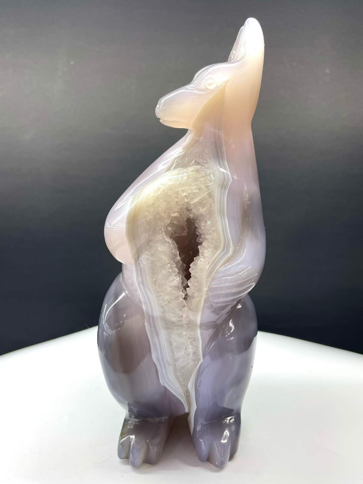 1.66LB Natural Agate Geode Quartz Carved Kangaroo Skull Crystal Reiki Decor