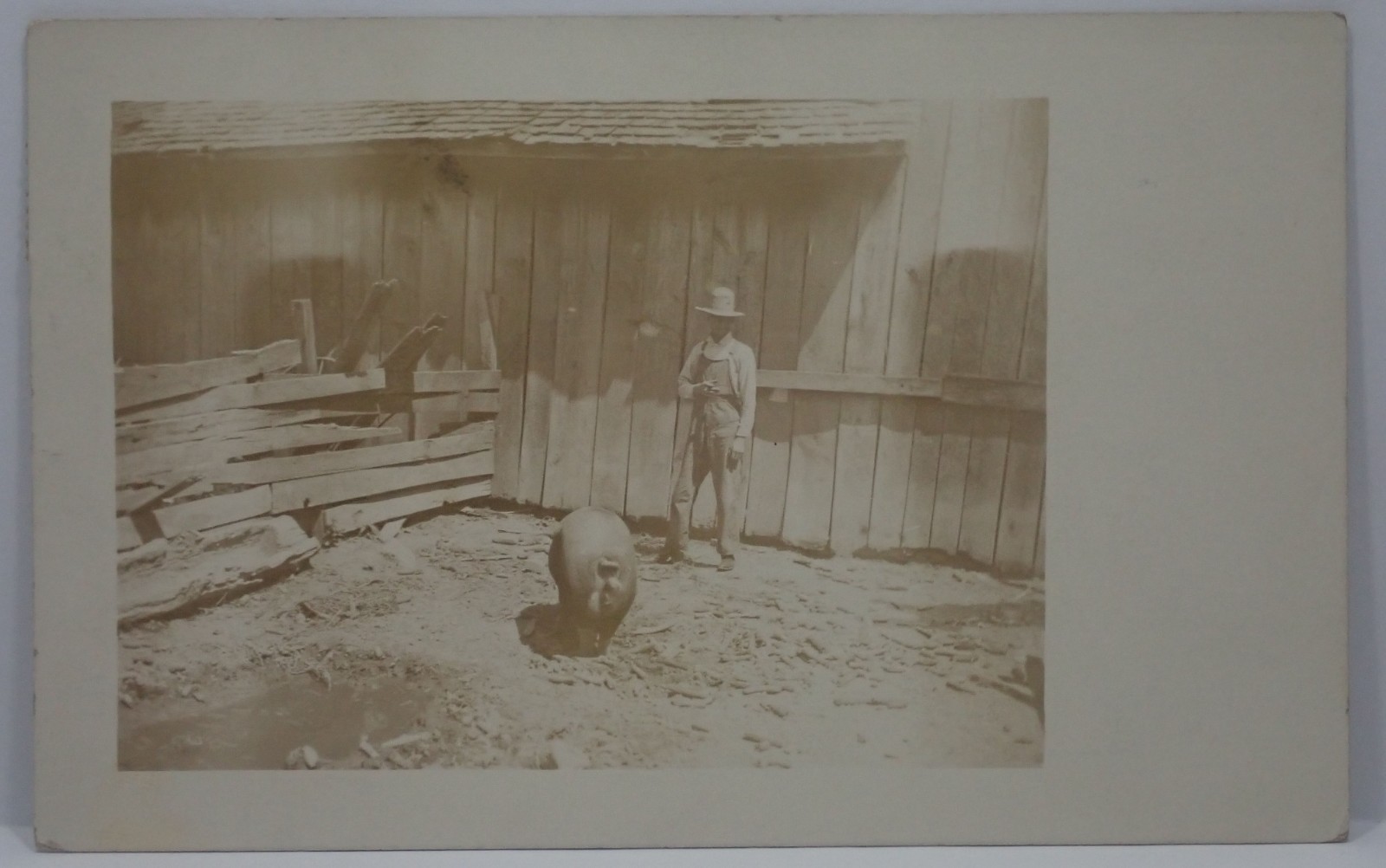 ANTIQUE 1911 RPPC PIG & FARMER COLUMBUS OHIO POSTCARD