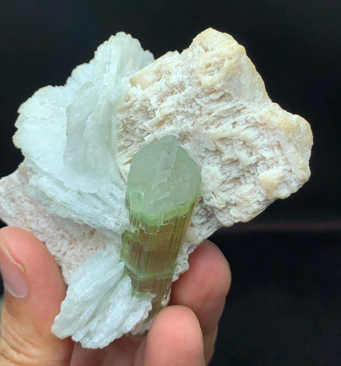 Exquisite Tourmaline On Albite Collectors or Resellers