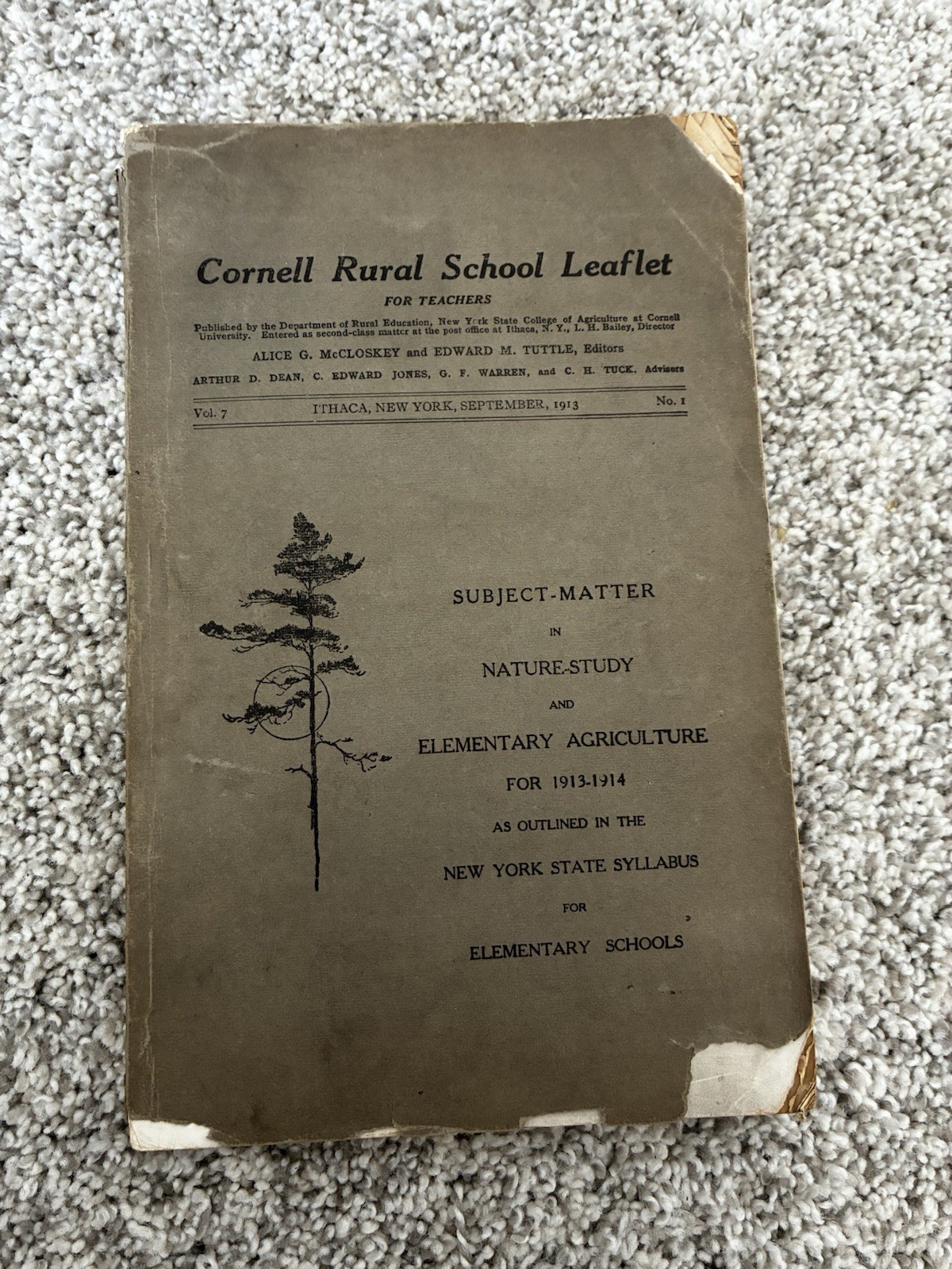 Antique Cornell School Curriculum Early 1900s Nature Study & Agriculture 1913