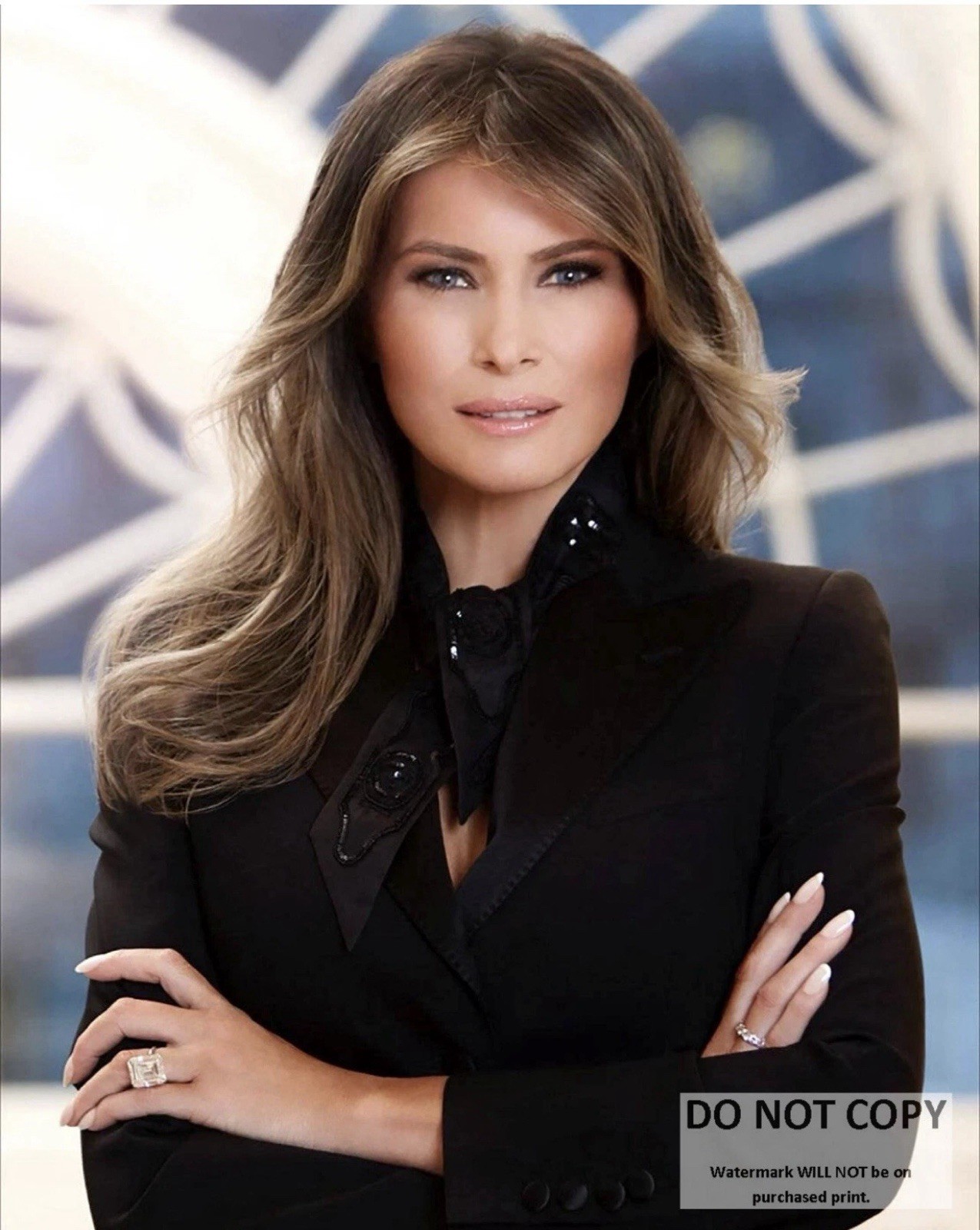FIRST LADY MELANIA TRUMP OFFICIAL PORTRAIT - 8X10 PHOTO