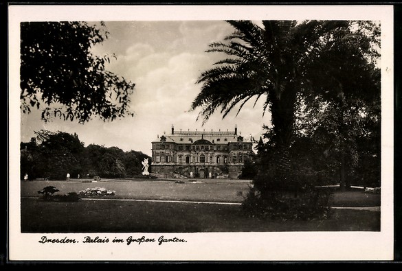 Dresden, Palace in the Great Garden, Postcard 