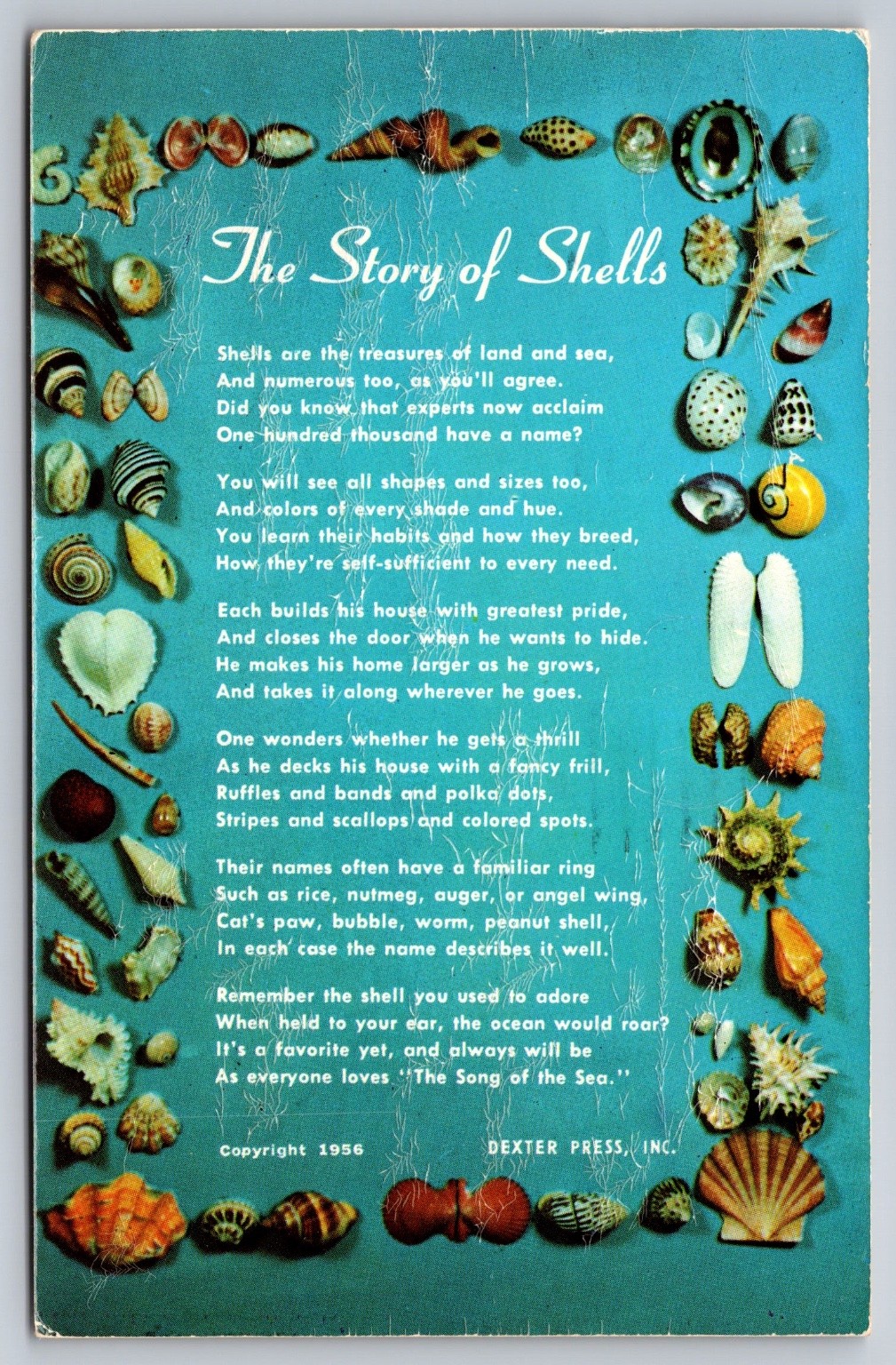 Vintage 1956 Dexter Press Postcard The Story of Shells Poem Seashells Art