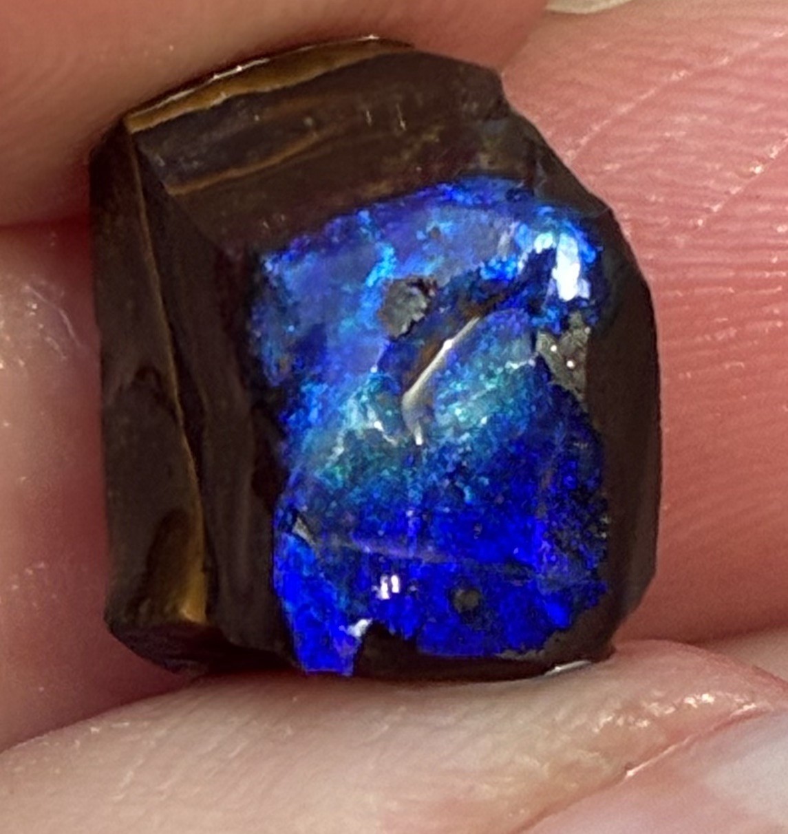 Beautiful 9ct Australian Small Boulder Opal Rough Loose Purple Blue 