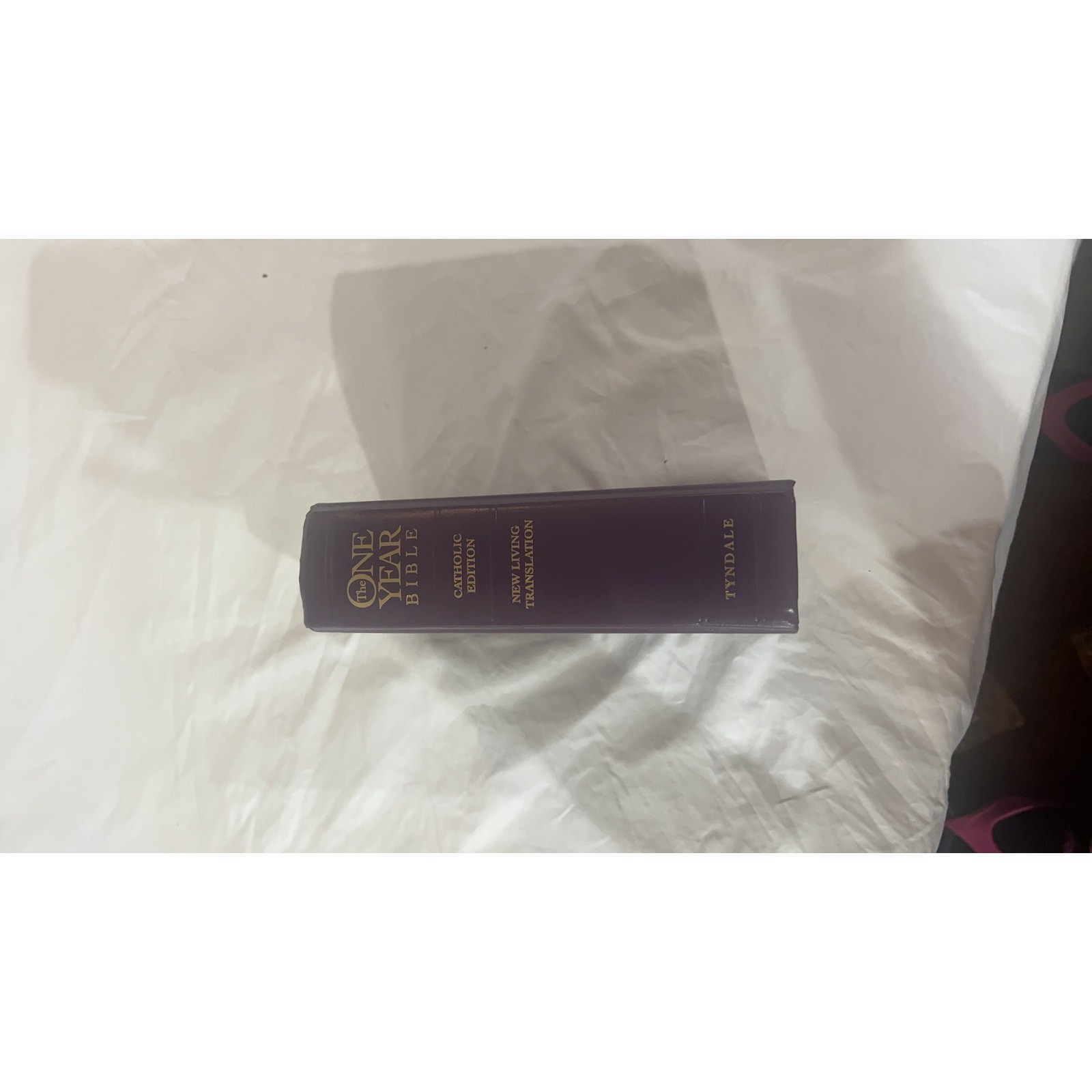 The One Year Bible Catholic Edition Religious Book