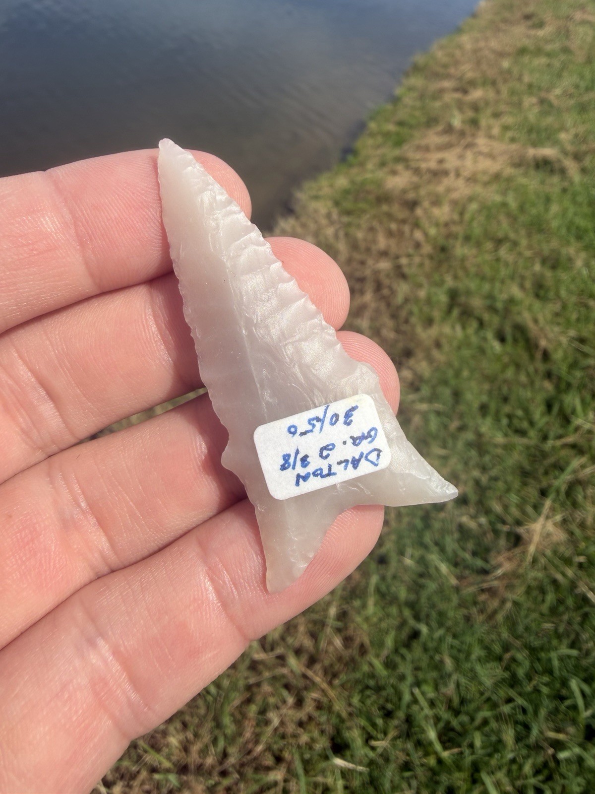Rare Killer GEM Arkansas Translucent Dalton Point Arrowhead