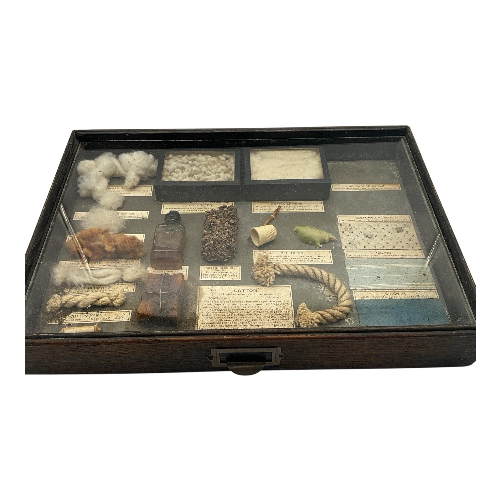 Antique Shadow Box Display Drawer W/Cotton Products Philadelphia Museum Quality