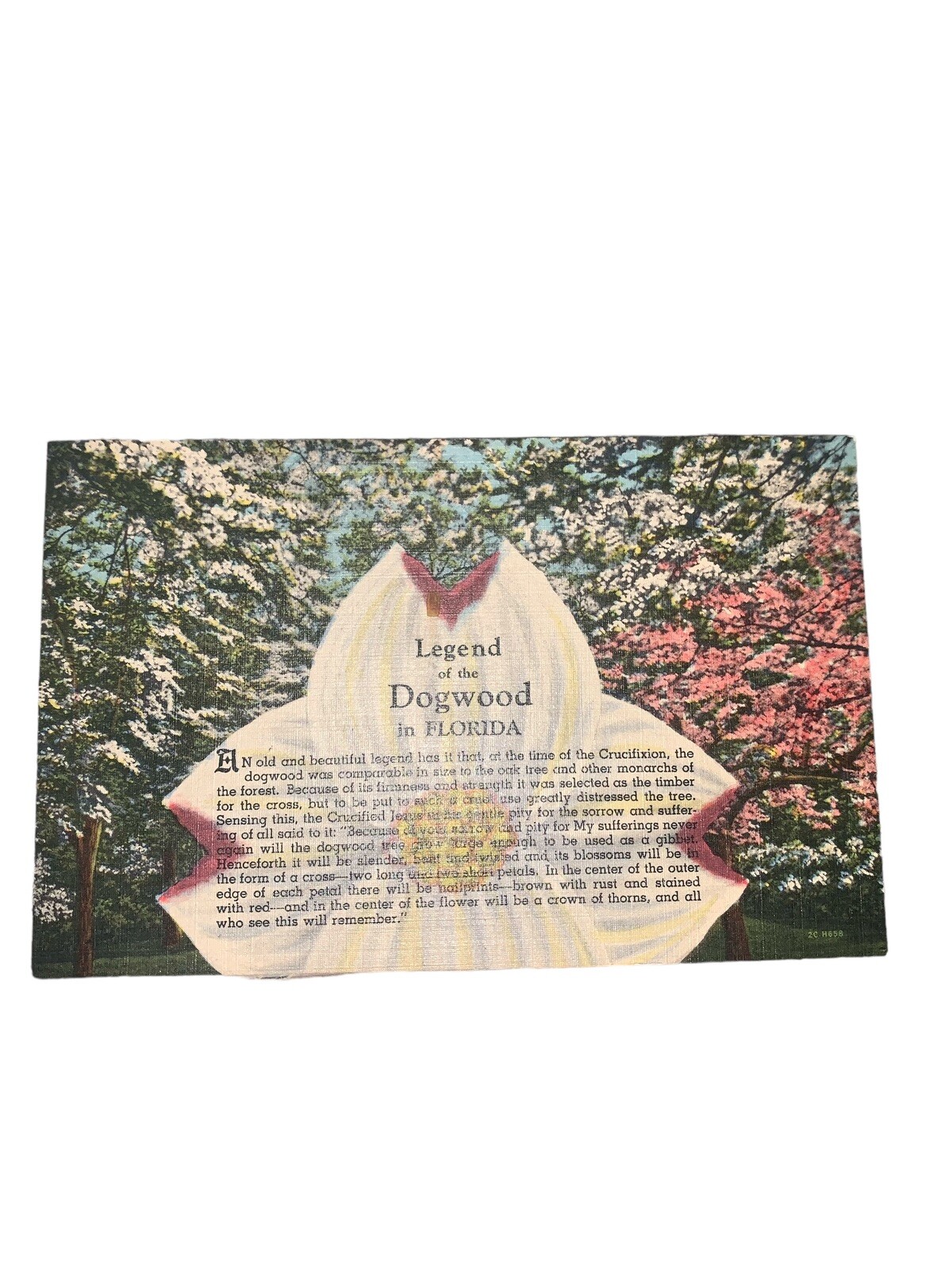 Vintage Postcard, Unposted, Legend of the Dogwood in Florida