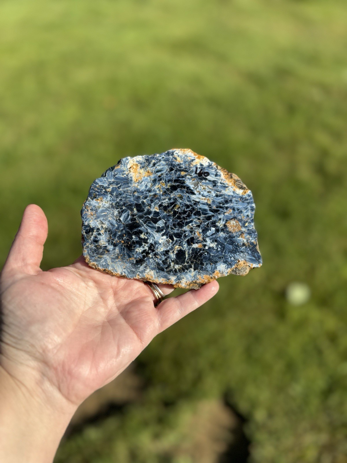 High-Grade Pietersite Slab - Excellent Blue Gold Chatoyancy Rare Rough Material
