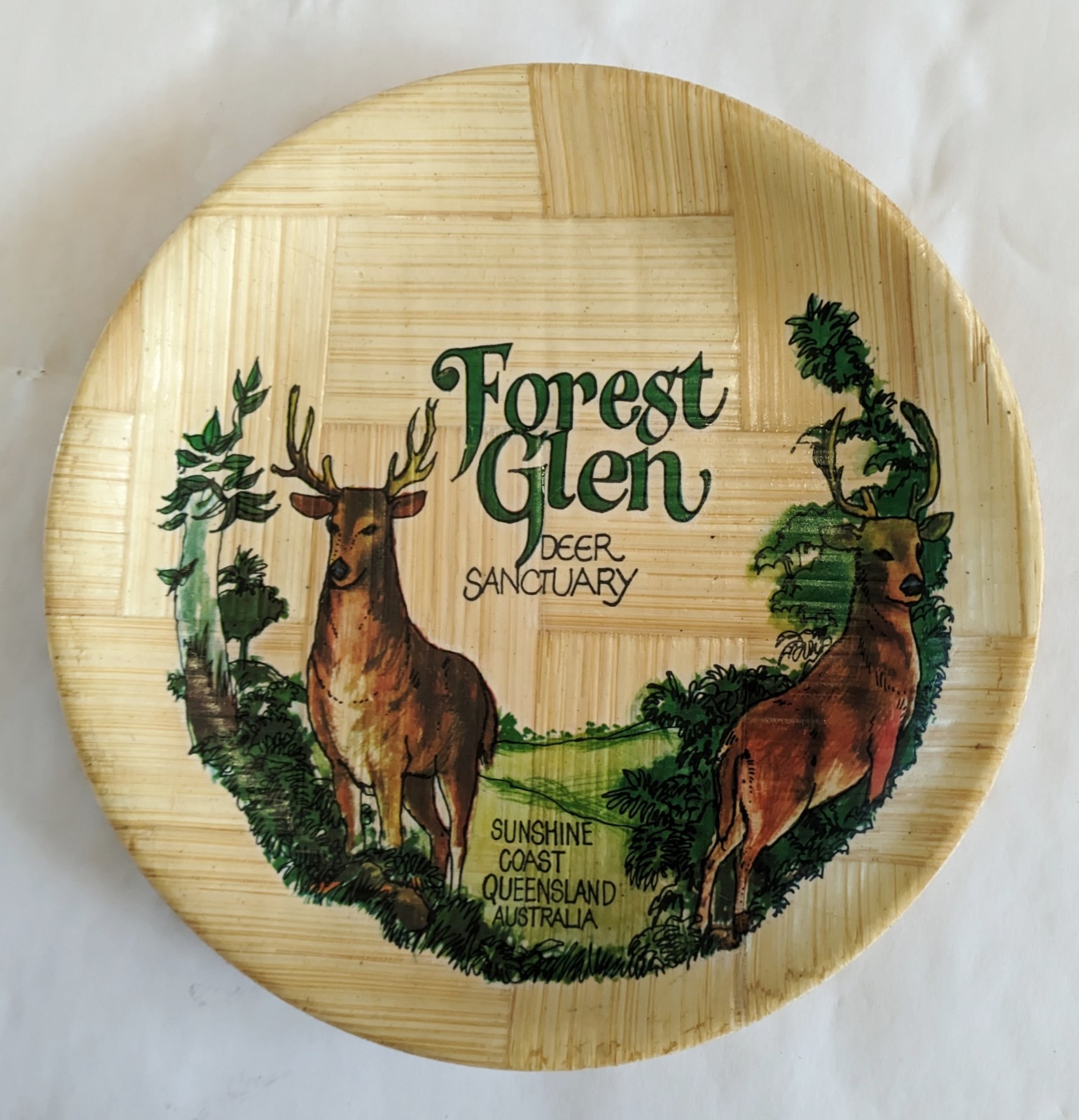 Vintage Forest Glen Deer Sanctuary Souvenir Dish Sunshine Coast QLD Bamboo
