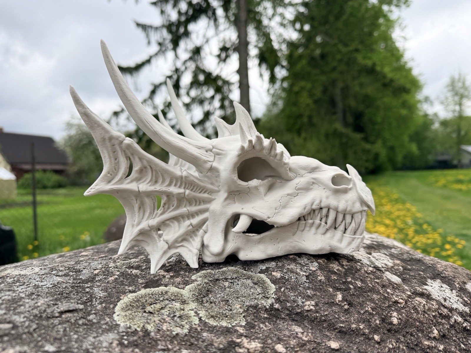 Dragon Skull 3d Printed 