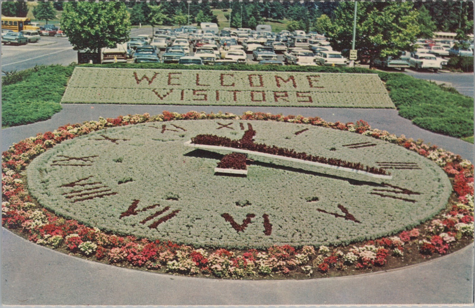 c1950s Flower clock Portland Zoological Gardens Portland Oregon postcard C83