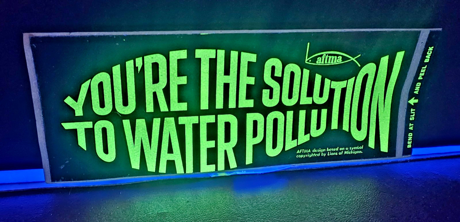 Vintage You\'re the solution to WATER Pollution Fishing Bumper Sticker Glows