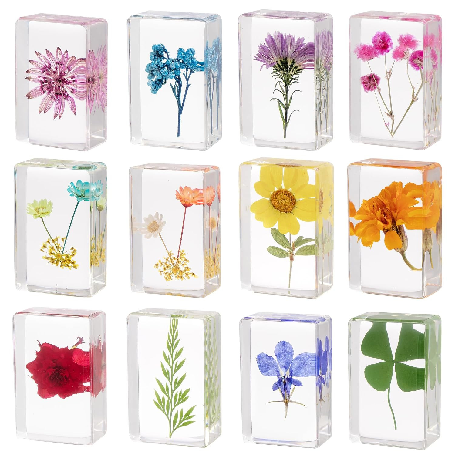 12 Pcs Real Pressed Flower Resin Paperweights - Botanical Specimen Collection fo