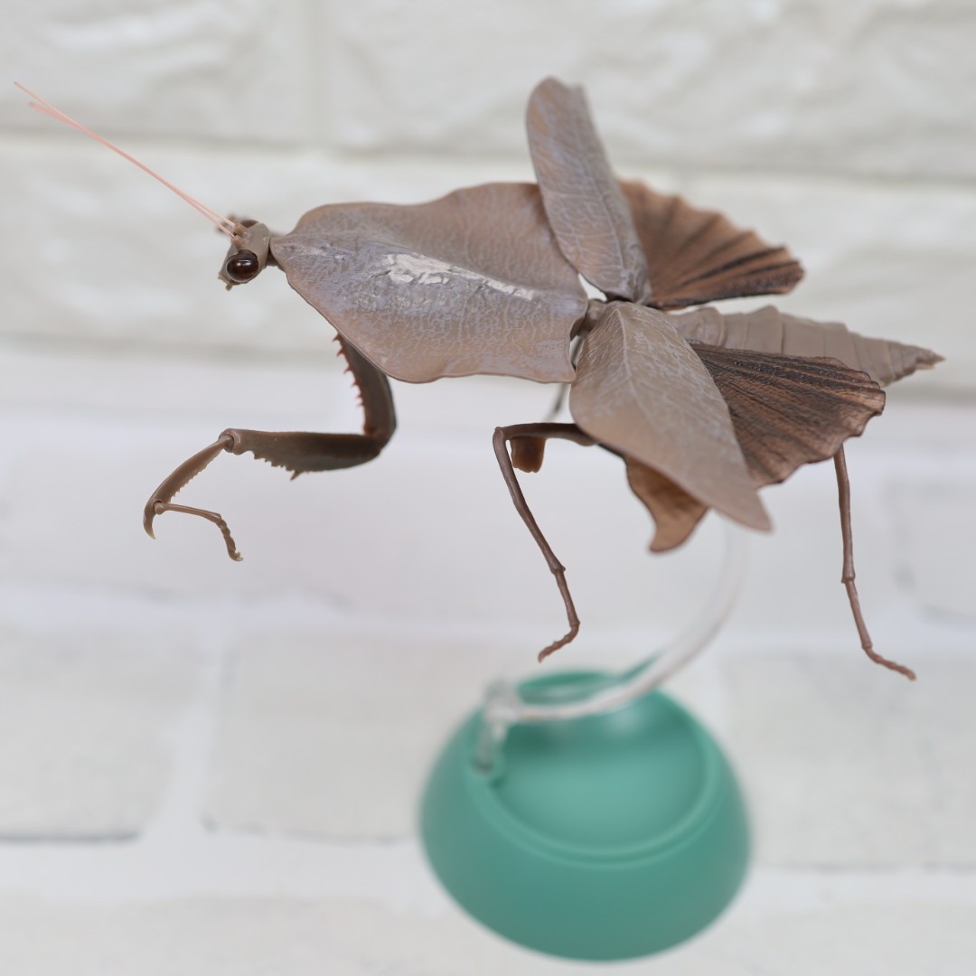 Praying Mantis Vol.2 Deroplatys Truncata(Dark Brown) Figure BANDAI
