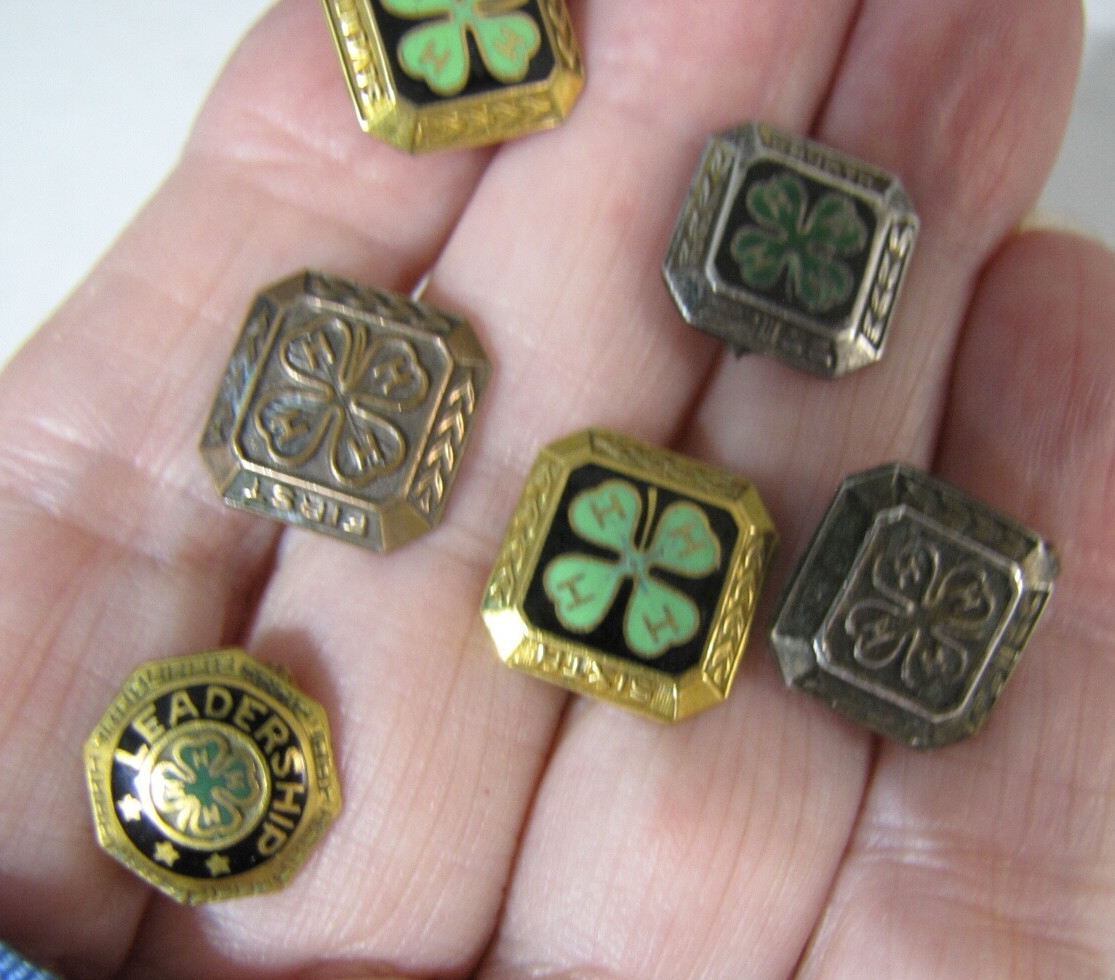 Vintage Gold Filled Sterling Silver 4H Club Membership Leadership 6 Pin Lot