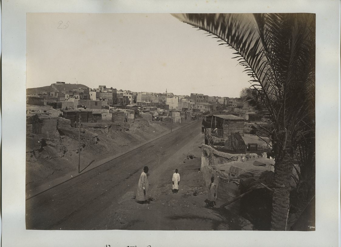 Rue Mahmoudieh Alexandria Egypt Street Scene Palm Tree c1870s VTG Photo