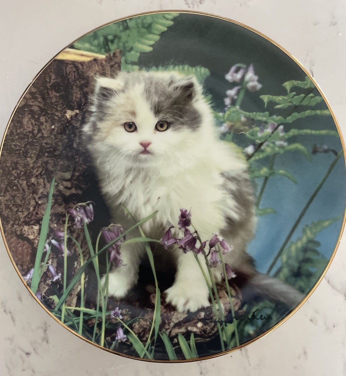 LIMITED EDITION “PURRFECTLY PRICELESS “ CAT COLLECTOR PLATE - PRINCETON GALLERY