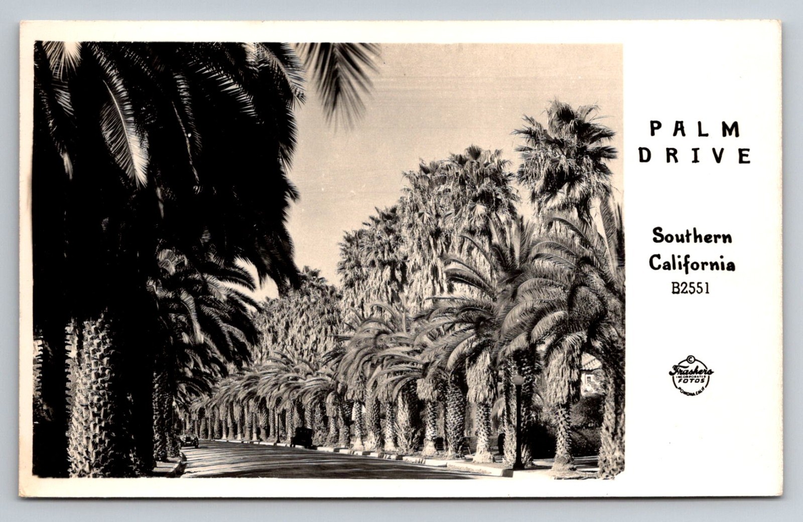 Postcard RPPC California CA Desert Hot Springs Palm Drive Frasher\'s Foto B2552