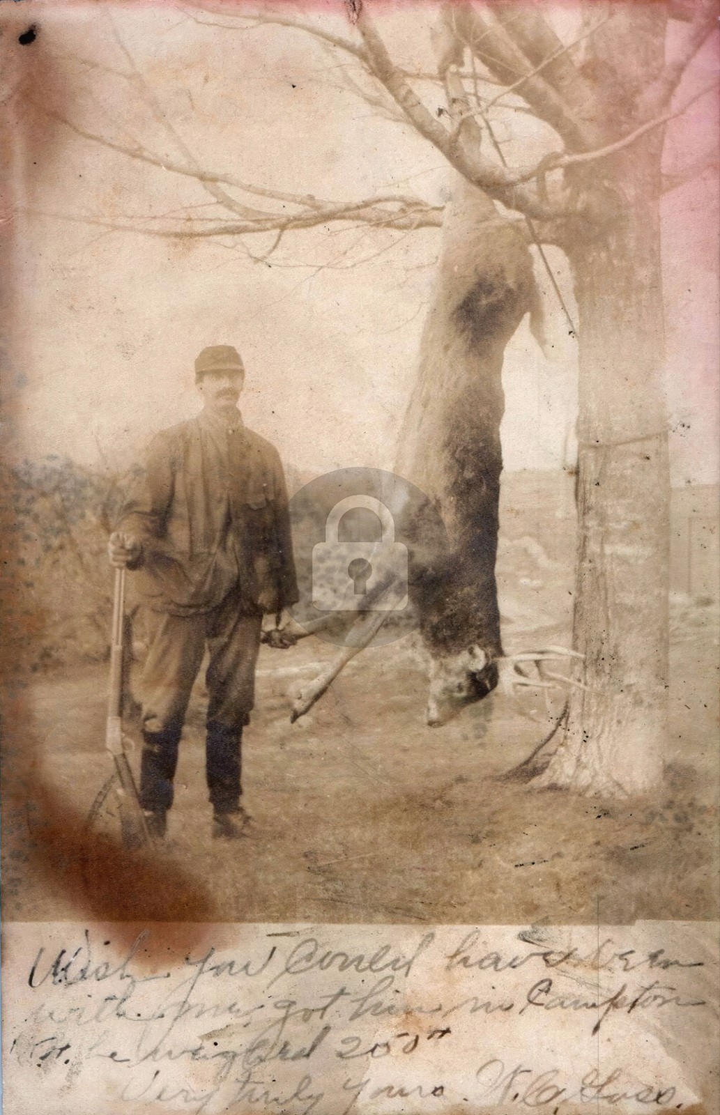 c1910s Man Deer Hunting Henniker New Hampshire NH RPPC Photo Postcard COPY