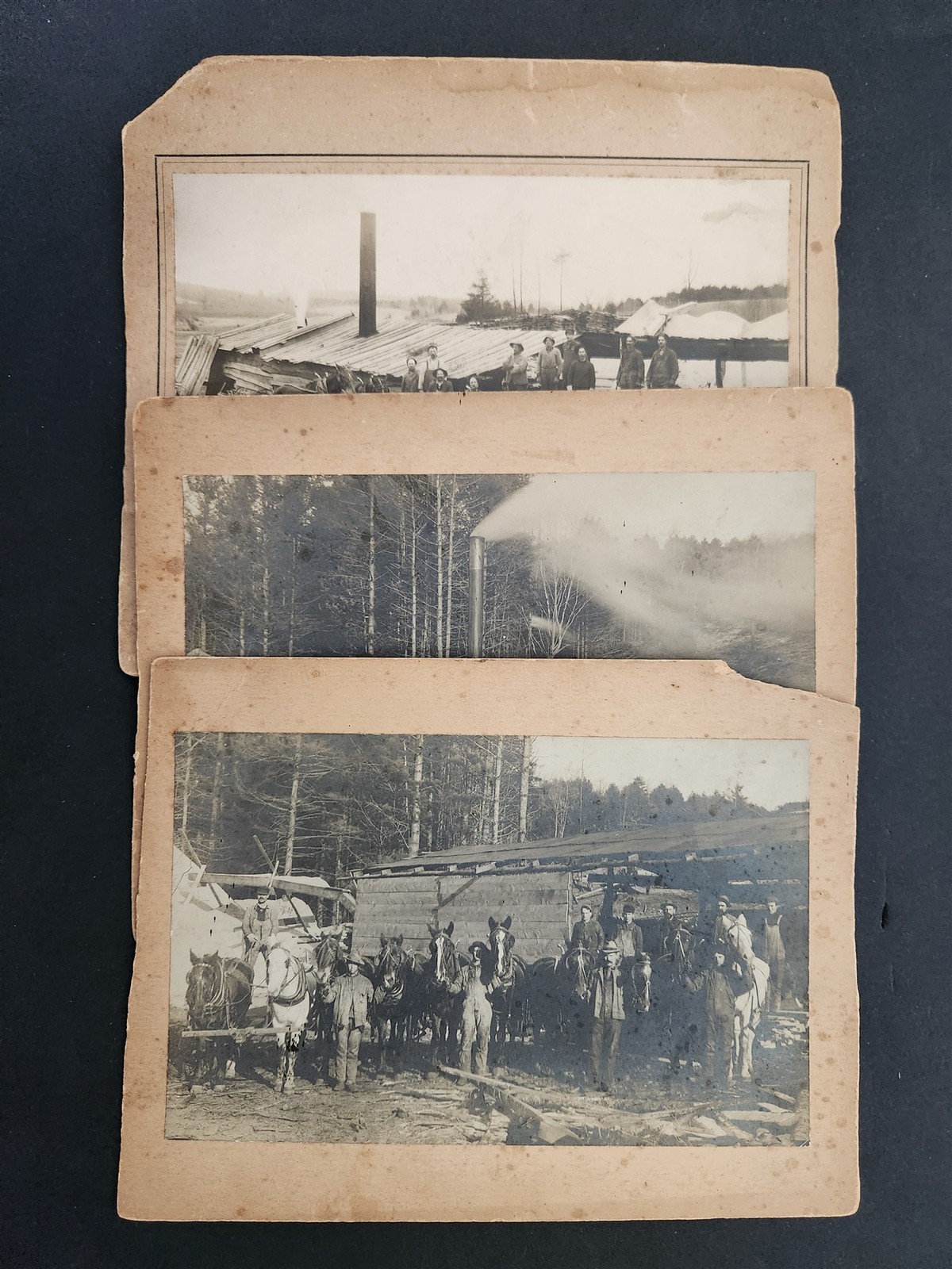 1800s antique 3 PHOTOGRAPHS claremont nh MEN LOG CABIN occupational TIMBER eddy