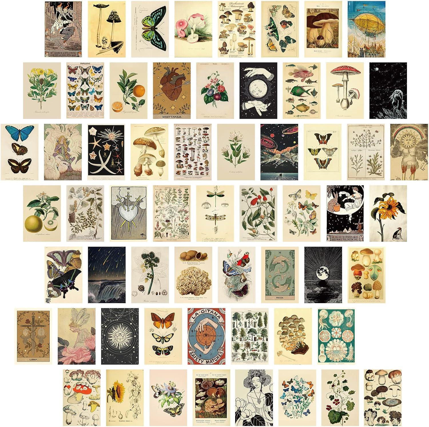 60 PCS Vintage Collection Postcard Set Retro Style Botanical Butterfly Mushroom 60 PCS Vintage Collection Postcard Set Retro Style Botanical Butterfly Mushroom