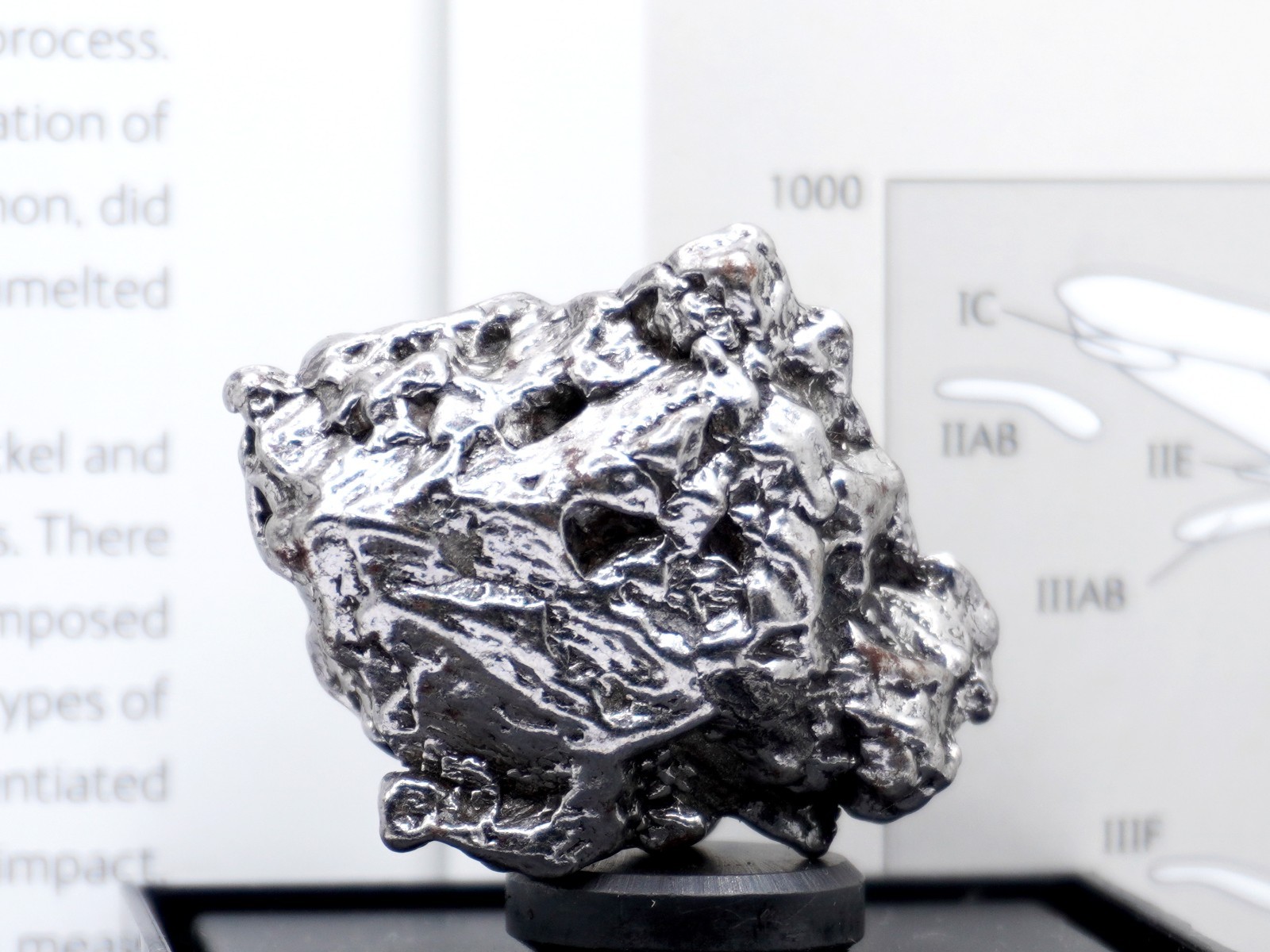 Authentic Campo del Cielo Meteorite | Certified Iron Space Rock from Argentina 