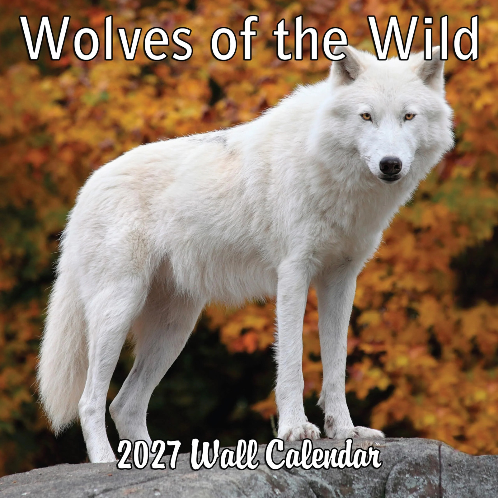 2027 Wolves of the Wild Monthly Wall Calendar