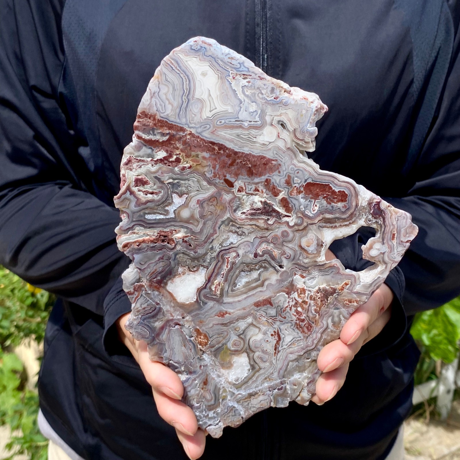 1.26LB Natural Crazy Lace Agate Slab Polished Raw Mineral Specimen Crystal Heali