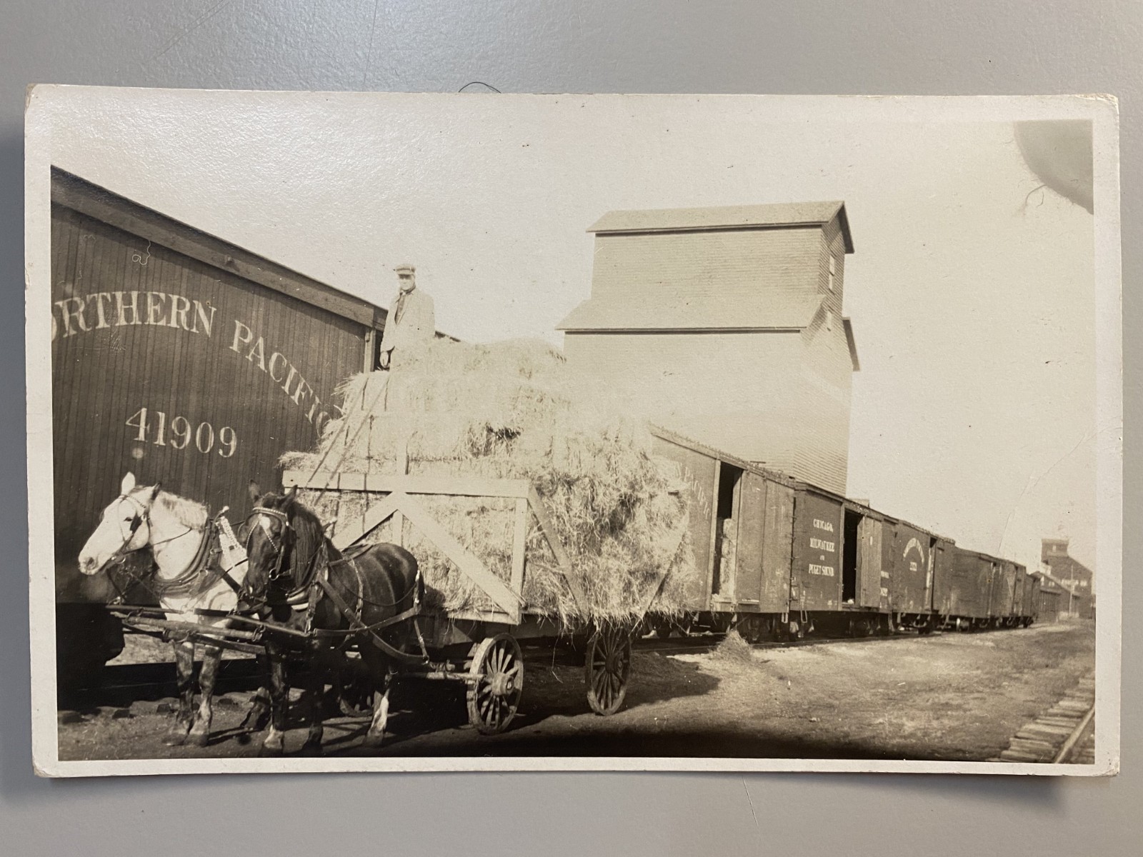 Terry Montana Prairie Co RPPC DEPOT TRAIN Rail Elevator Northern Pacific RR MT