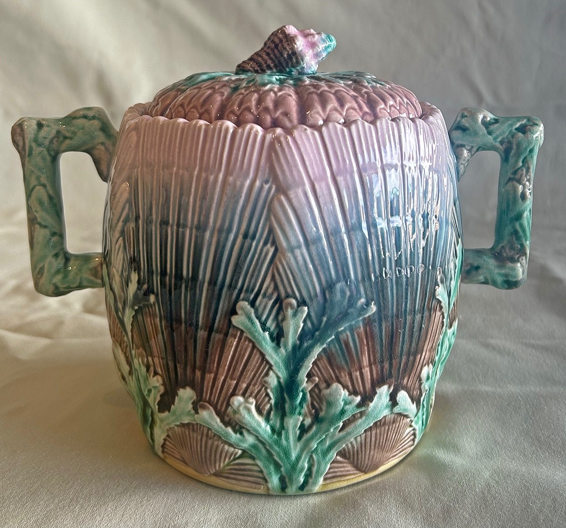 Rare Antique  Majolica Etruscan Shell & Seaweed Sugar Bowl with Lid. Excellent