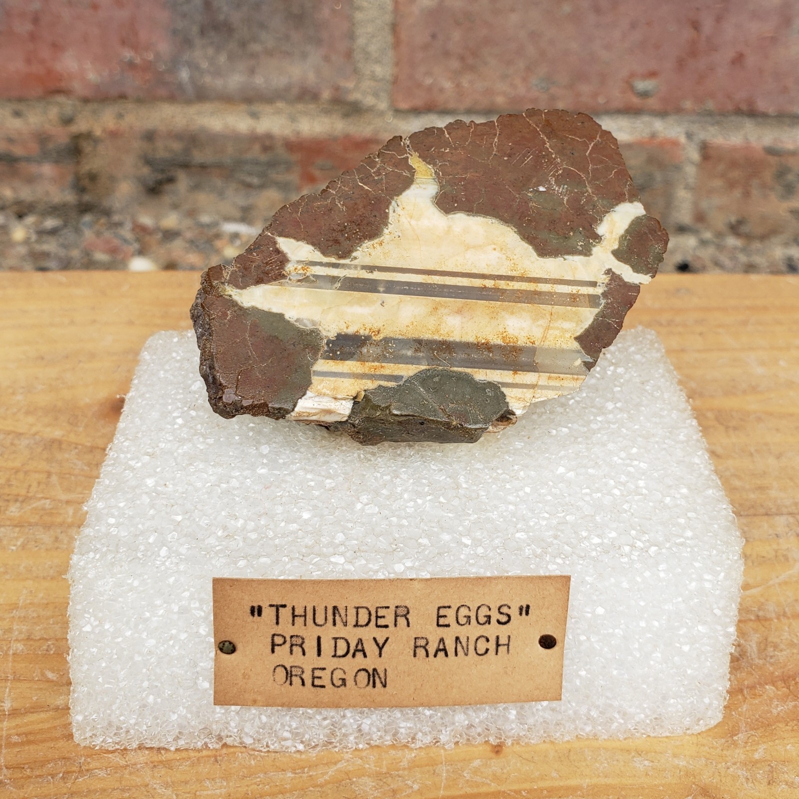 Thunder Egg Polished, Priday Ranch Oregon, 78g Estate Specimen