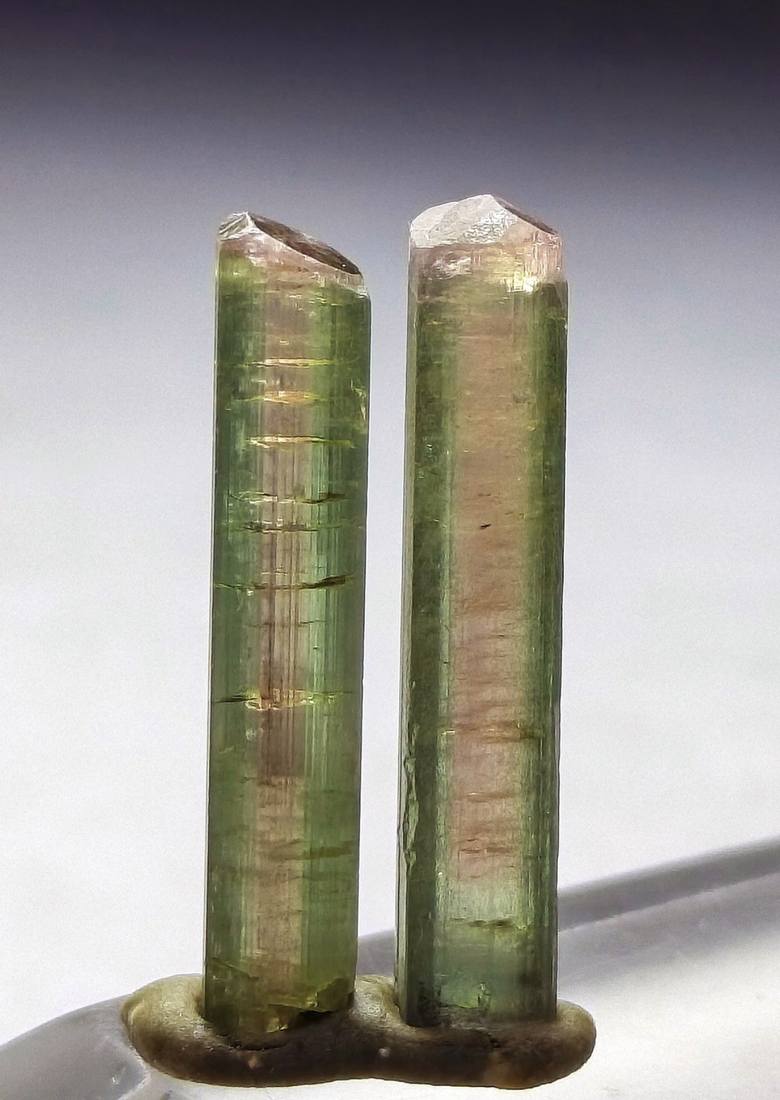 An Amazing Pair Of Watermelon Tourmaline Crystals From Poprook Mine .